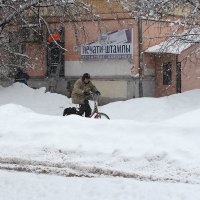 Зимний день :: Татьяна Гузева