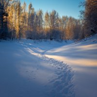 Пересекая утренний свет :: Сергей Андреев