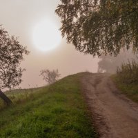 Утро туманное... :: Александр Каргаполов