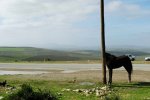 24 января: Основы фотографии | Базовый курс с Александром Павловым