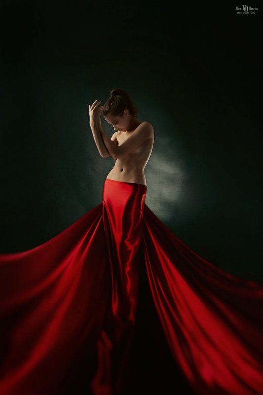 Girl in red - Alex Homin