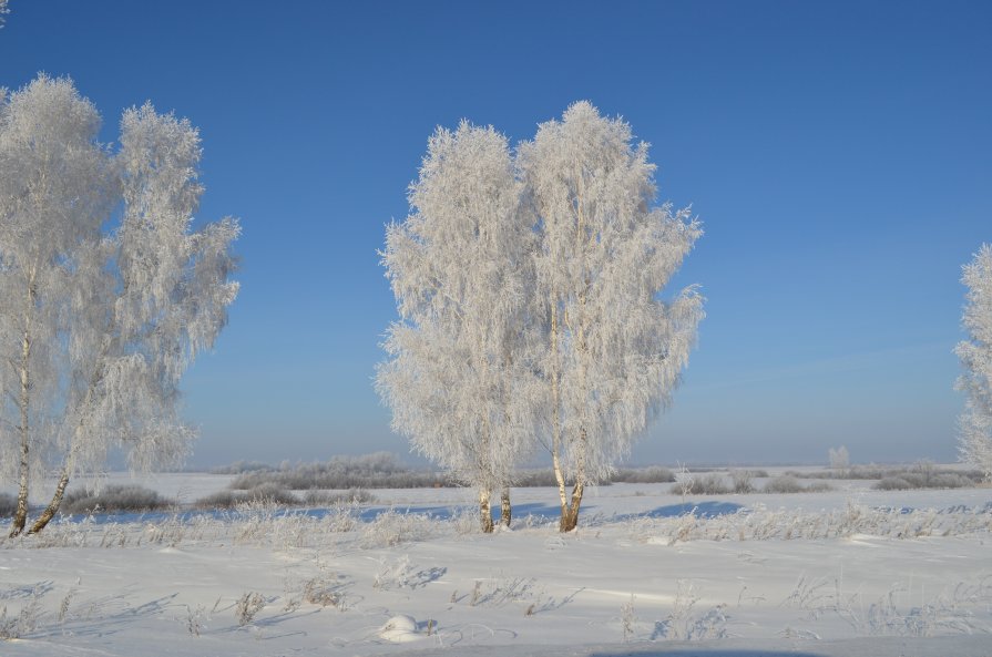 природа зима - Юлия Кучерова