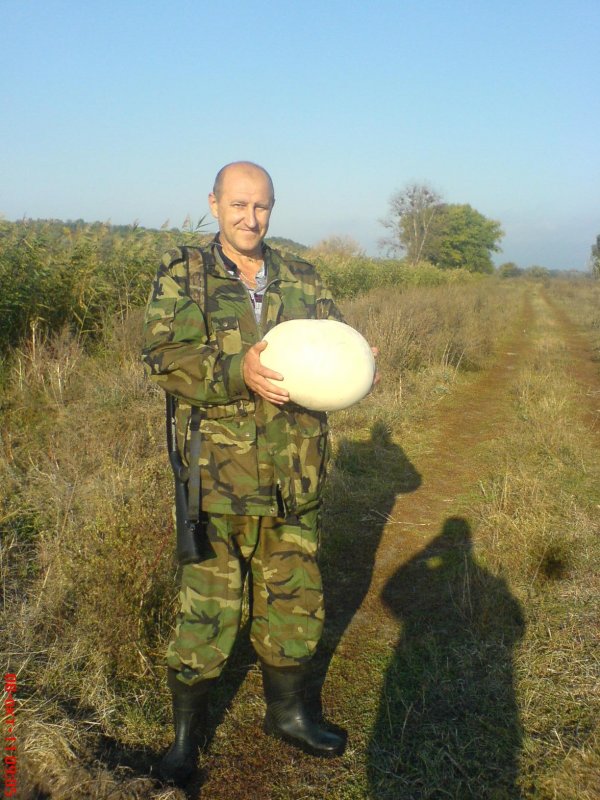 возле речки - Александр Степаненко