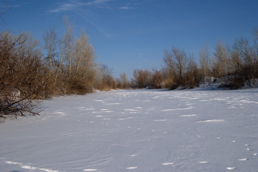 ... - Роман Бобровский