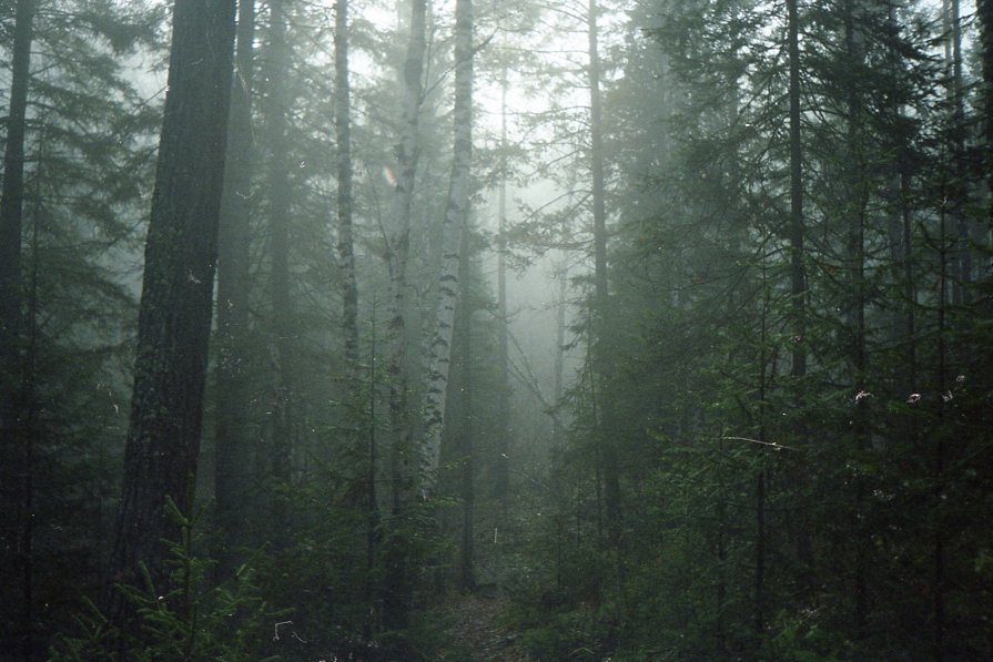 Into the Haze. Тропинка в дымку - Павел Шестаков