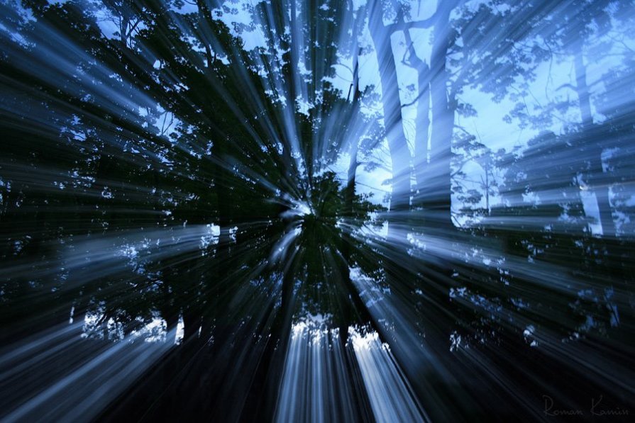Рассвет души лесной - Roman Kamin