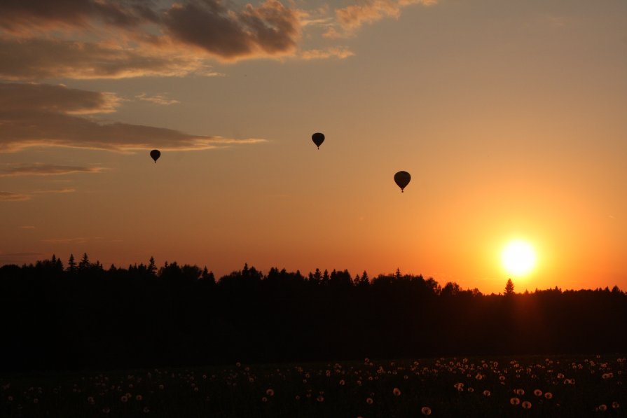 Полёт воздушных шаров на закате - Александр Копосов