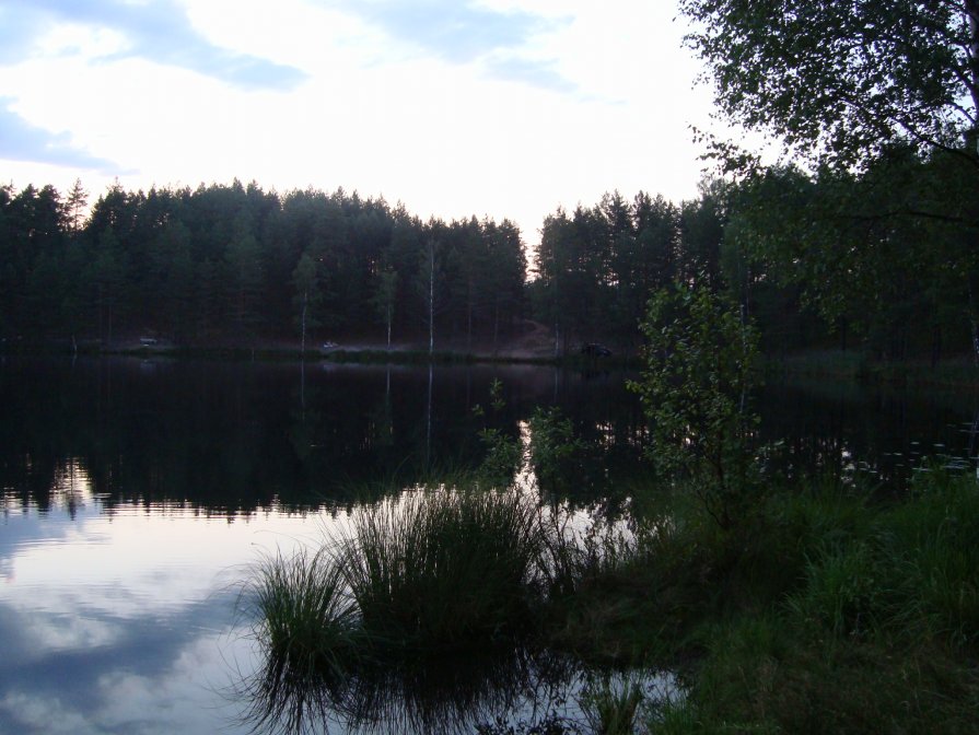 Озеро - Ольга Мореходова