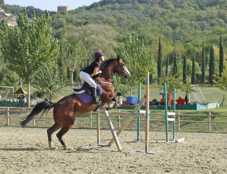 лошади - Korto Maltez