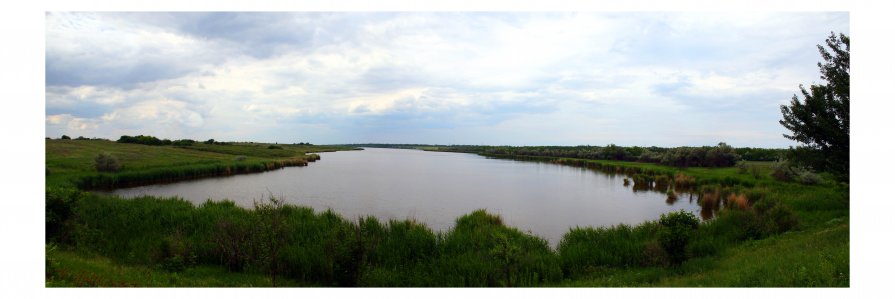 Ставок - Николай Соляник