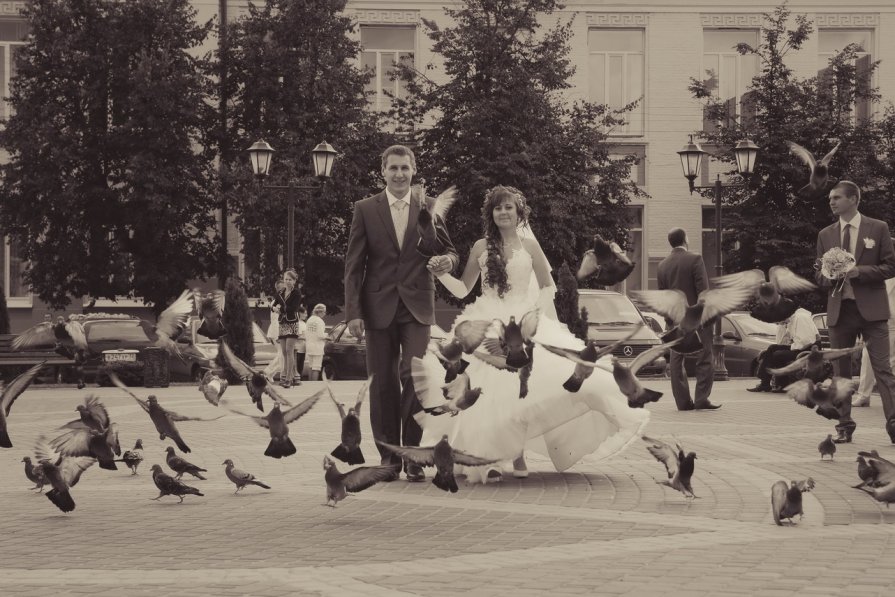 wedding - Андрей Шевцов
