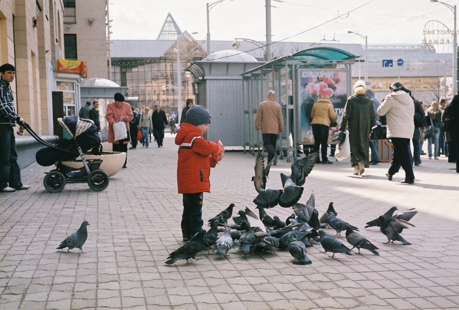 мальчик и голуби - Владимир Бернацкий