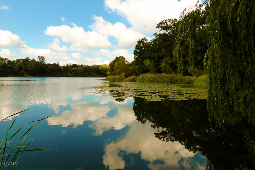 Grenadier Pond - Andy Zav