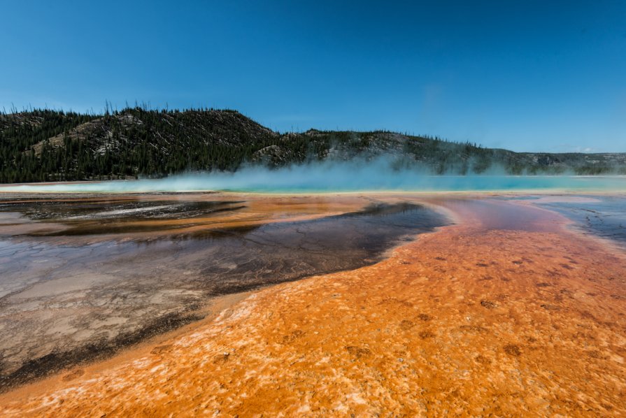 Orange Water - Mike Kolesnikov