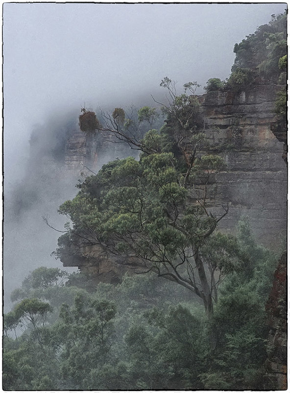 Туман в Blue Mountains. Австралия - Александр Беляев