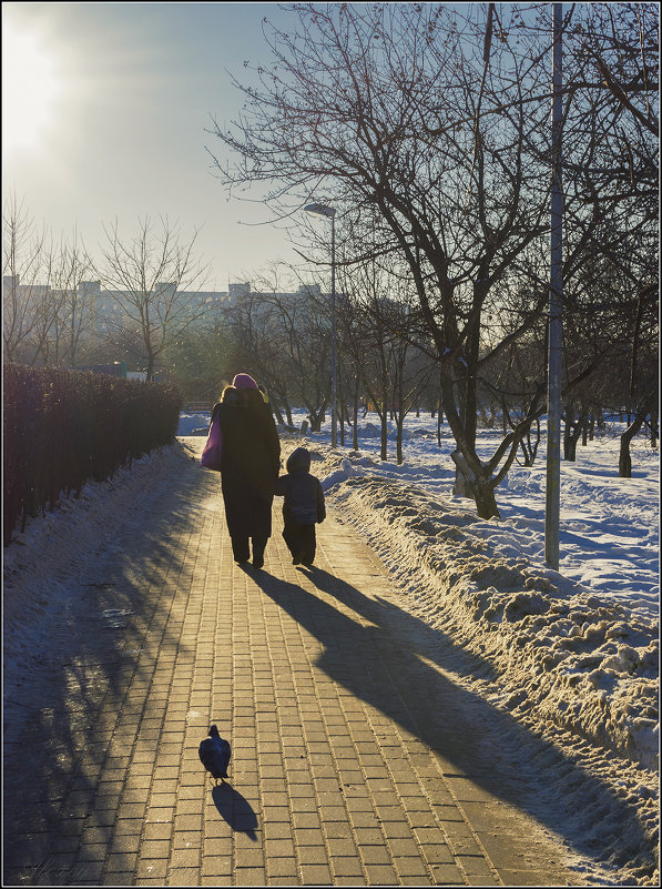 Зимняя прогулка - Алексей Соминский