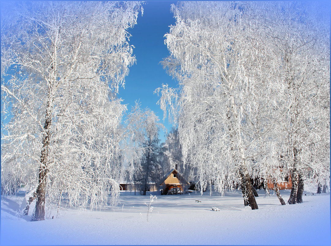 Мороз-кудесник!!! - Наталья Юрова