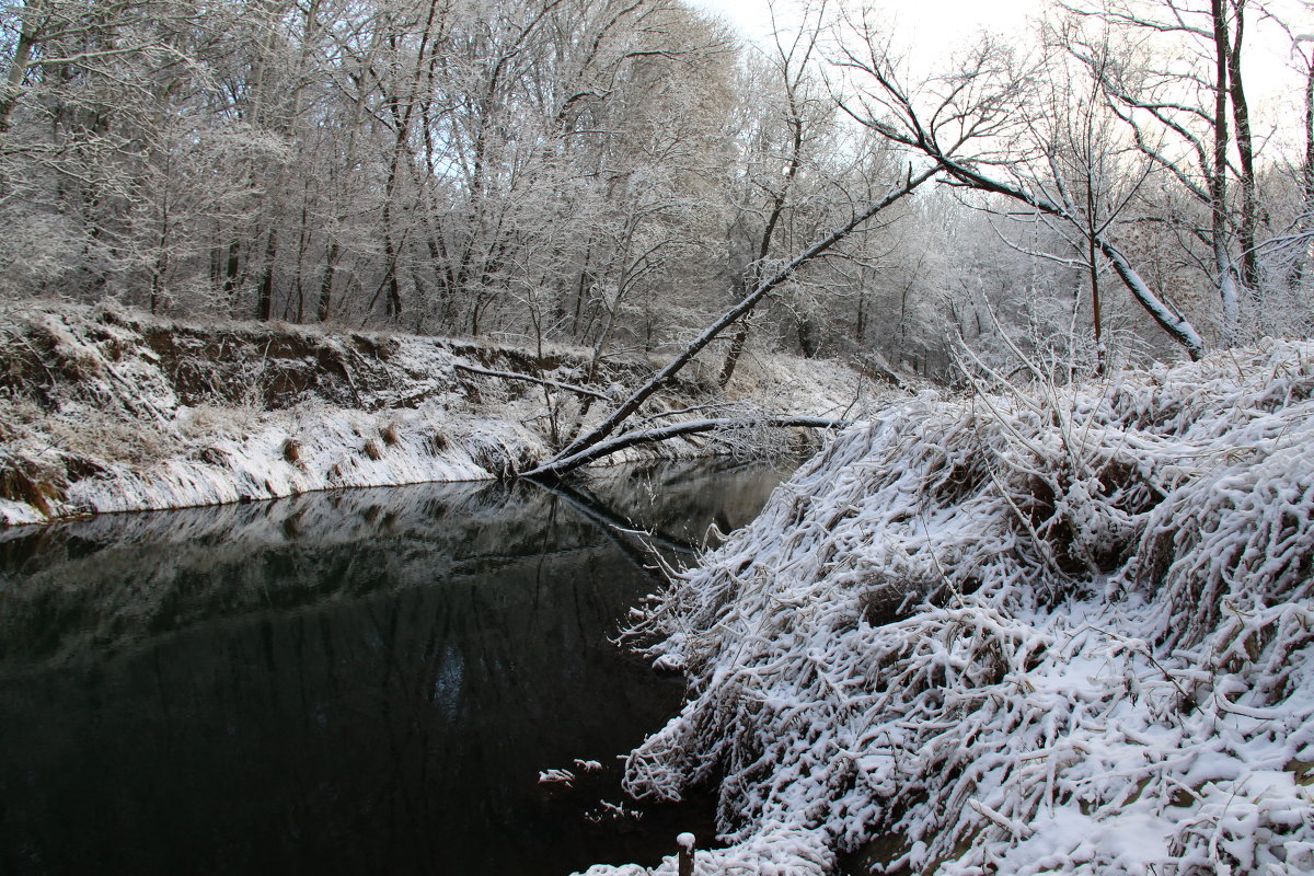 Зимняя речка - Елена 