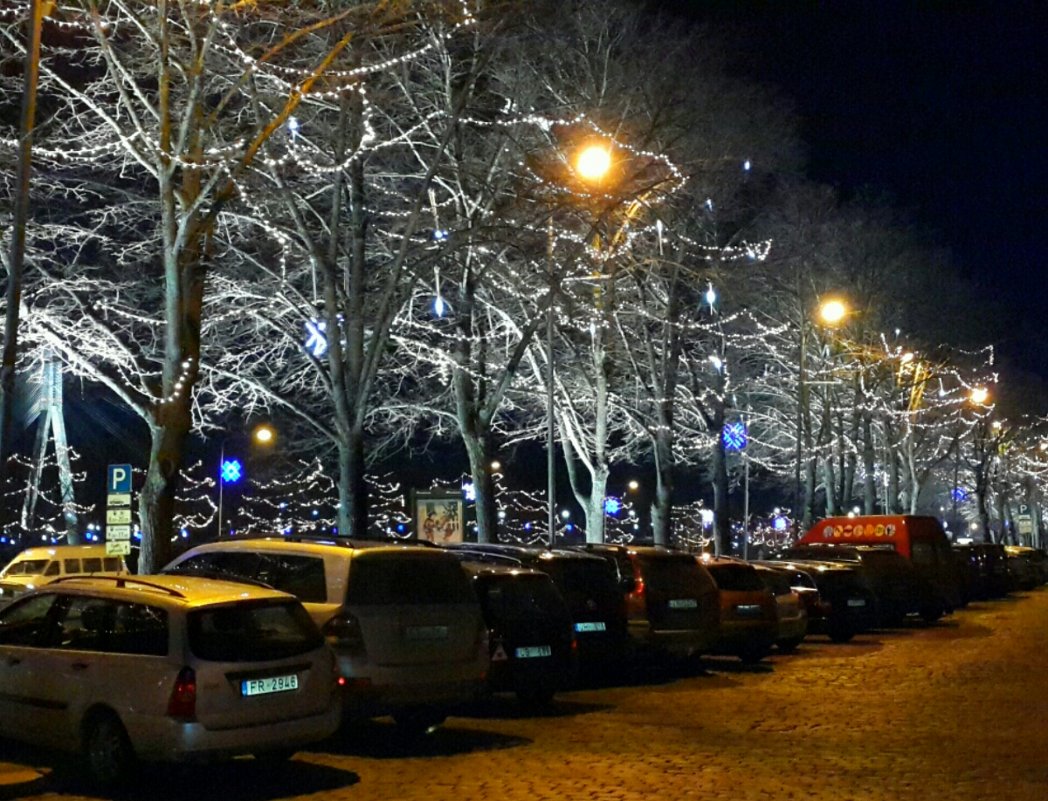 Рождественские улицы - Olga Evtuhova