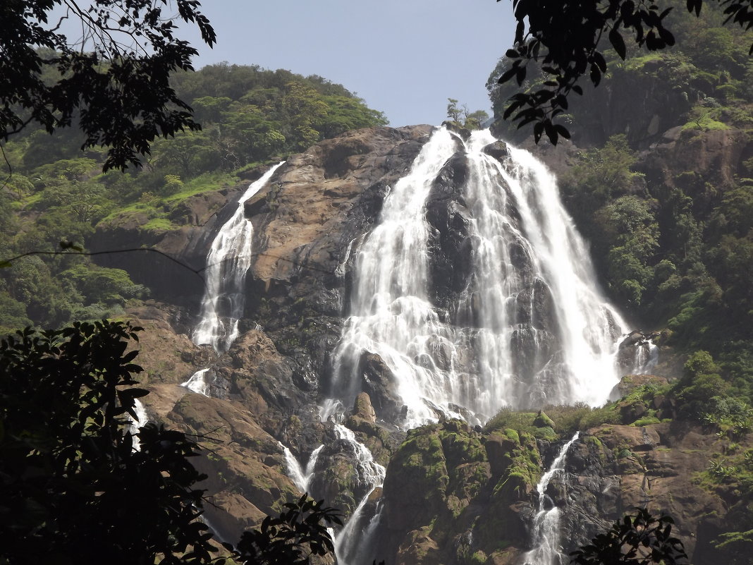 водопад Дадсагар (сахарная голова) - maikl falkon 