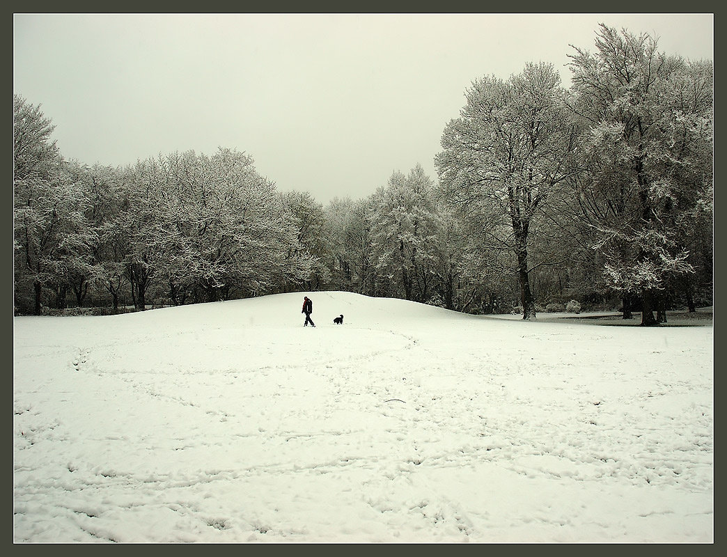Зимой в парке... - Boris Alabugin