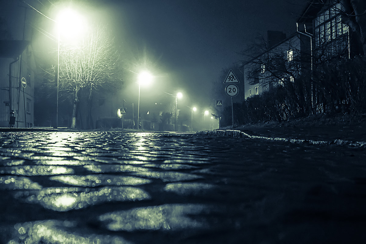 Ночь. Улица. Туман - Наталья Наумова