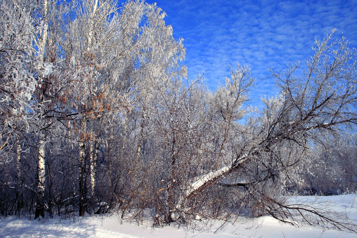 Красавица зима - Евгений Юрков