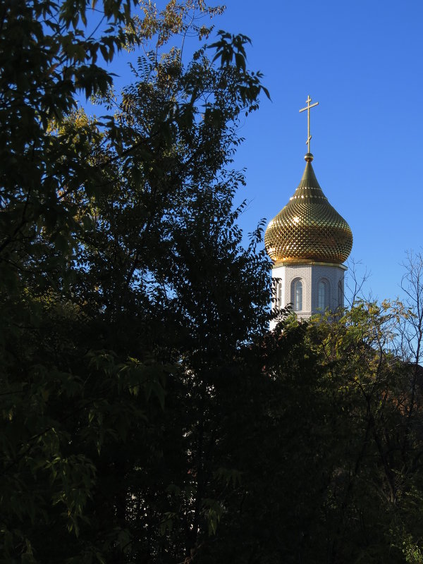 Купол золотой - aleksandr 