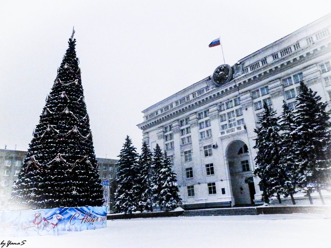 Городская Елка. Кемерово 2014 - Yana Fizazi