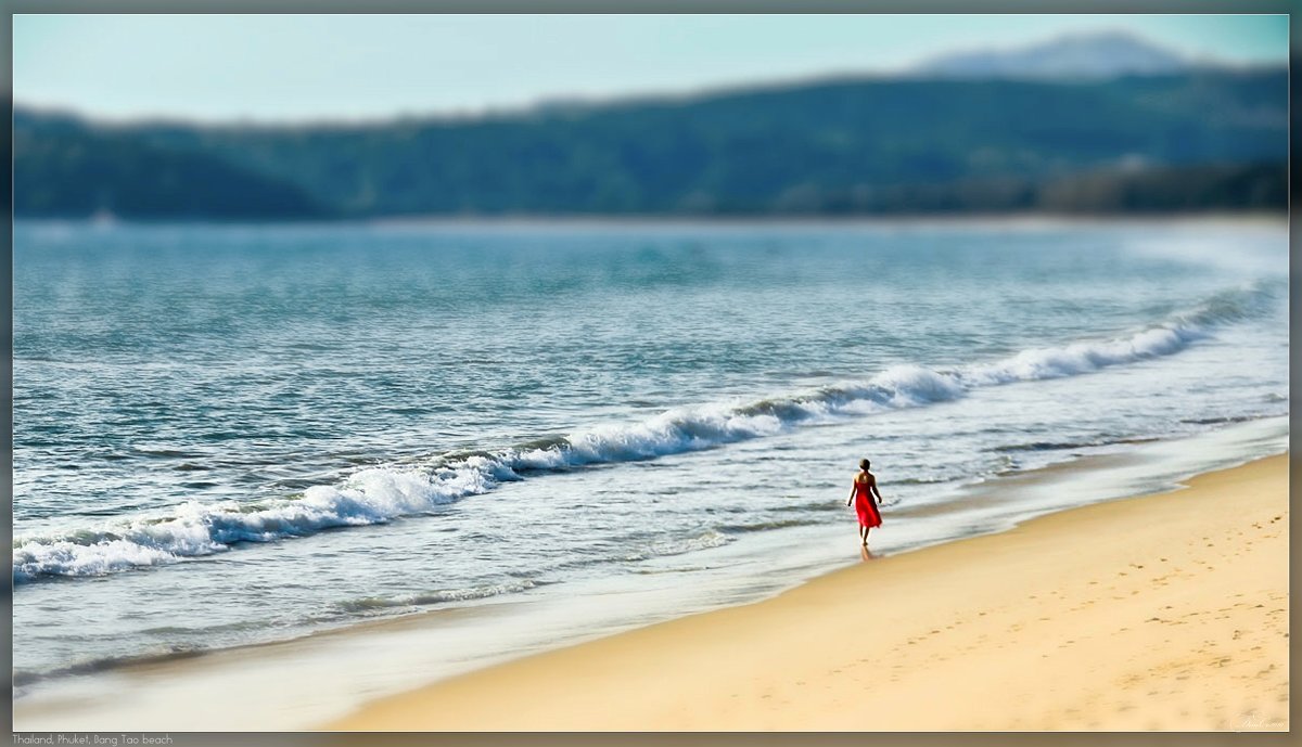 Lady in red - Dimсophoto ©