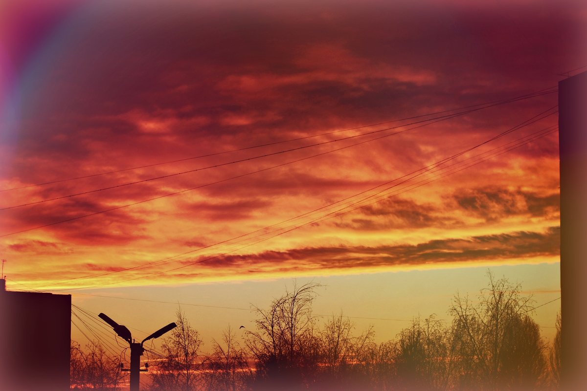 Утреннее небо зимой - Анастасия Macintosh