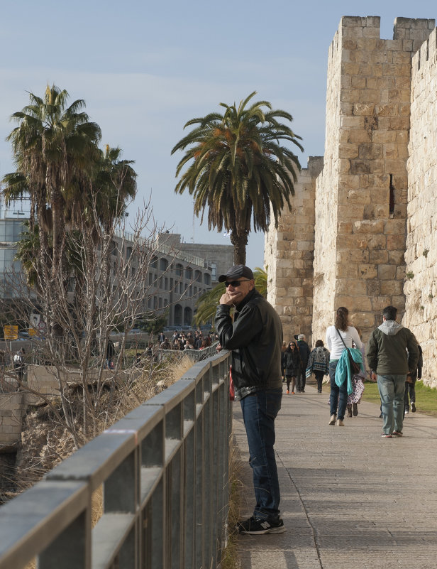 Jerusalem.Misli o visokom - susanna vasershtein