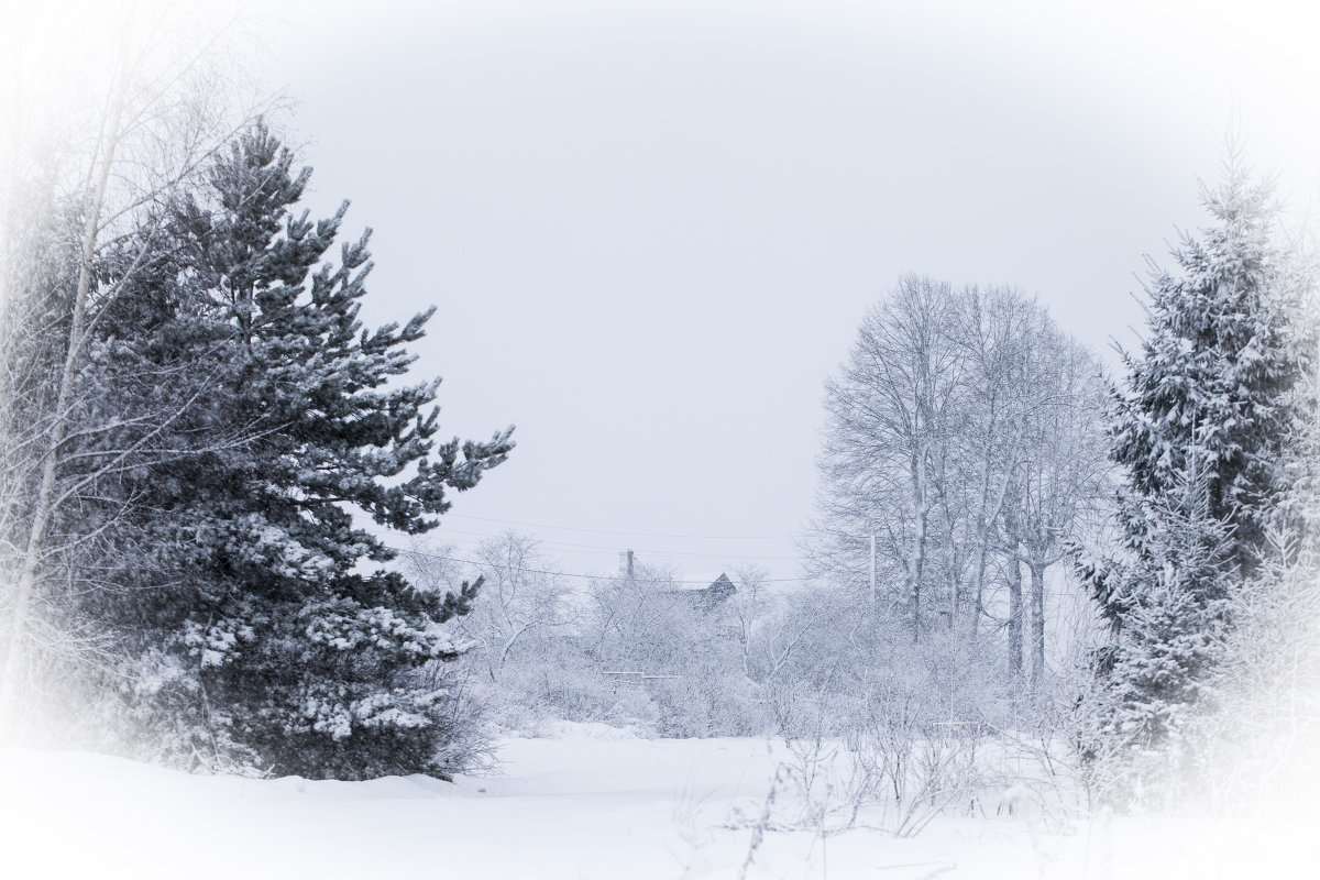 зима в деревне - Елена Новгородцева