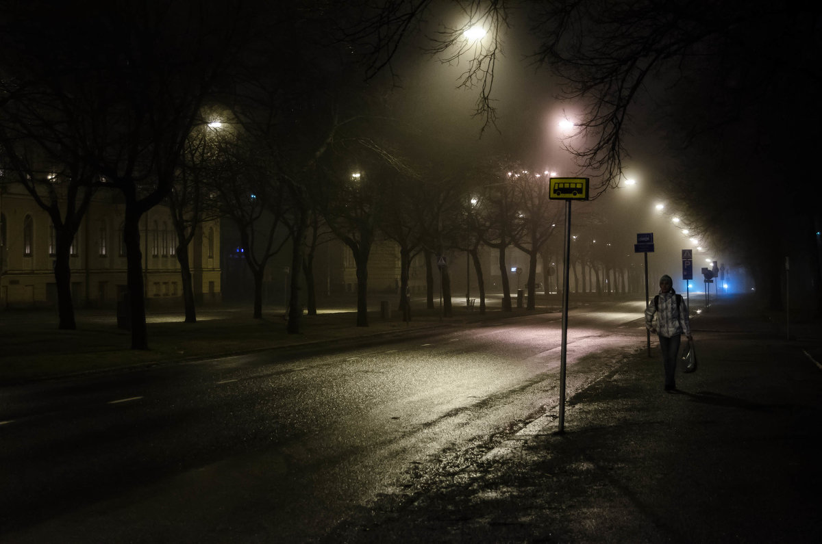 Туманное утро в Вааса - Алек Пономаренко