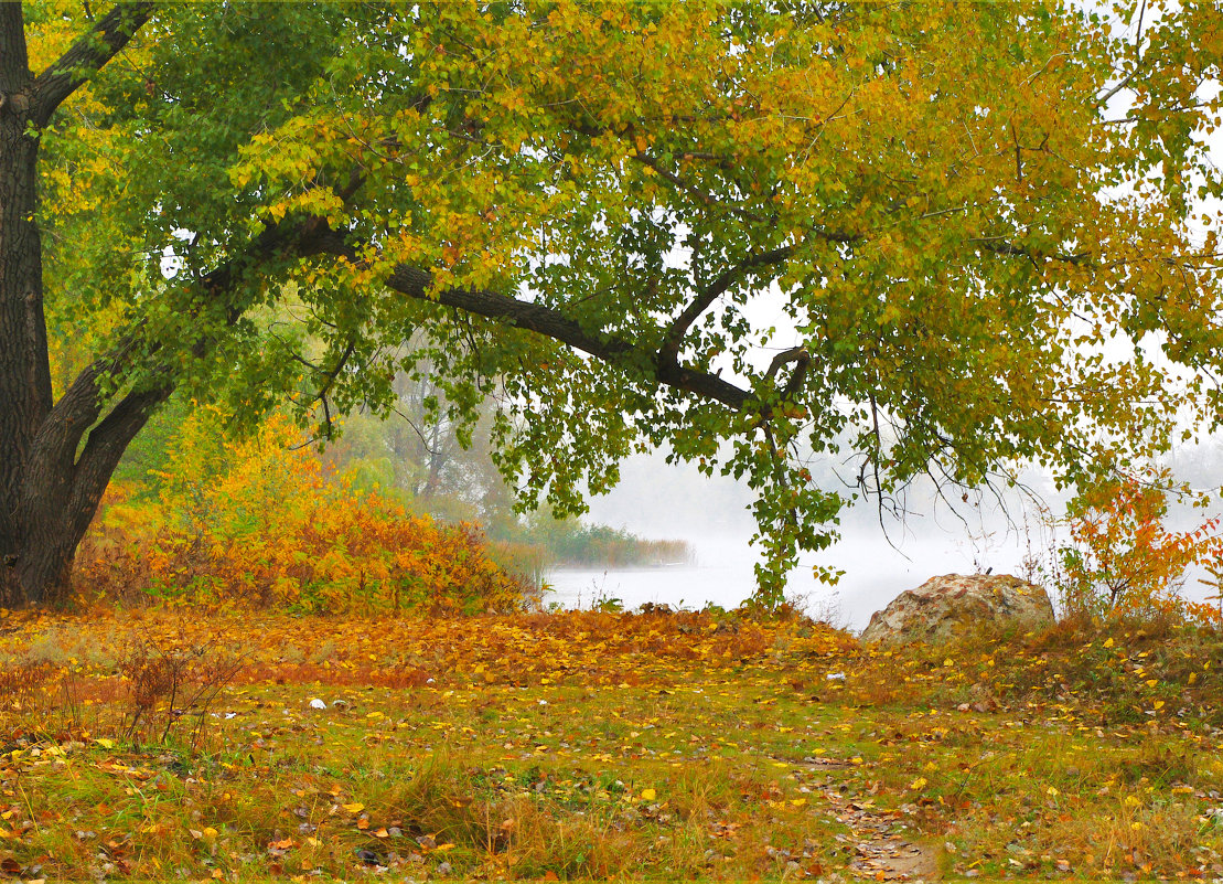Осенний туман над рекой - Аля 