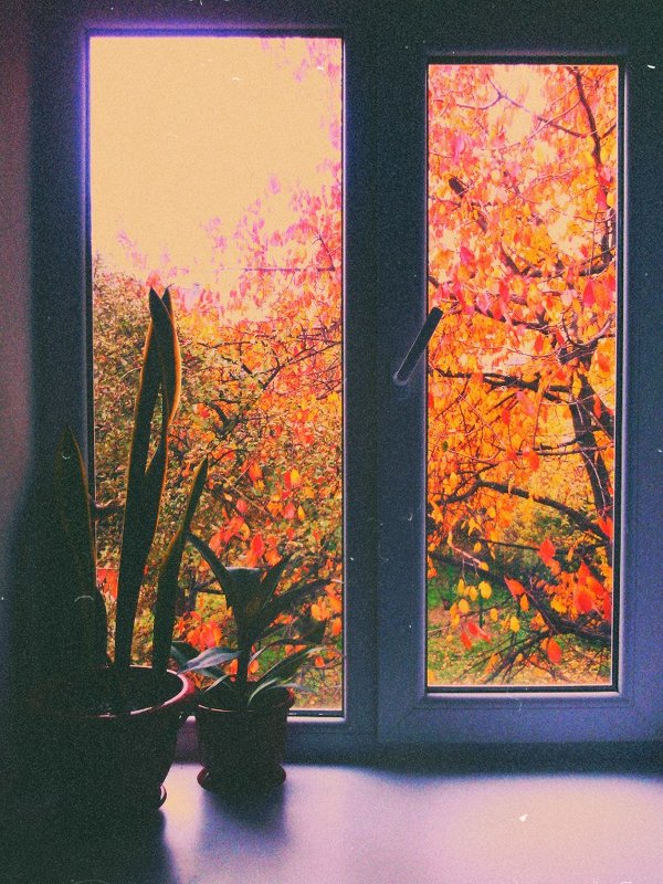 Осень на улице - осень в душе. - Анна Шелепова