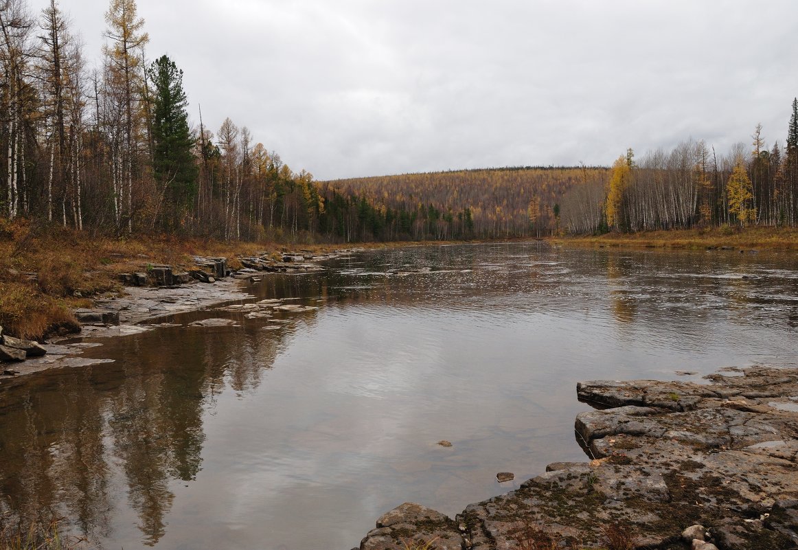 *** - Александр Хаецкий