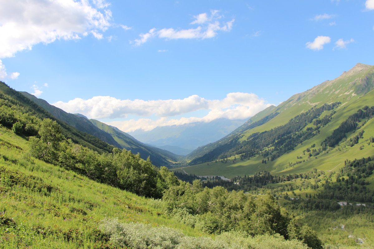 Седло - Лариса ***