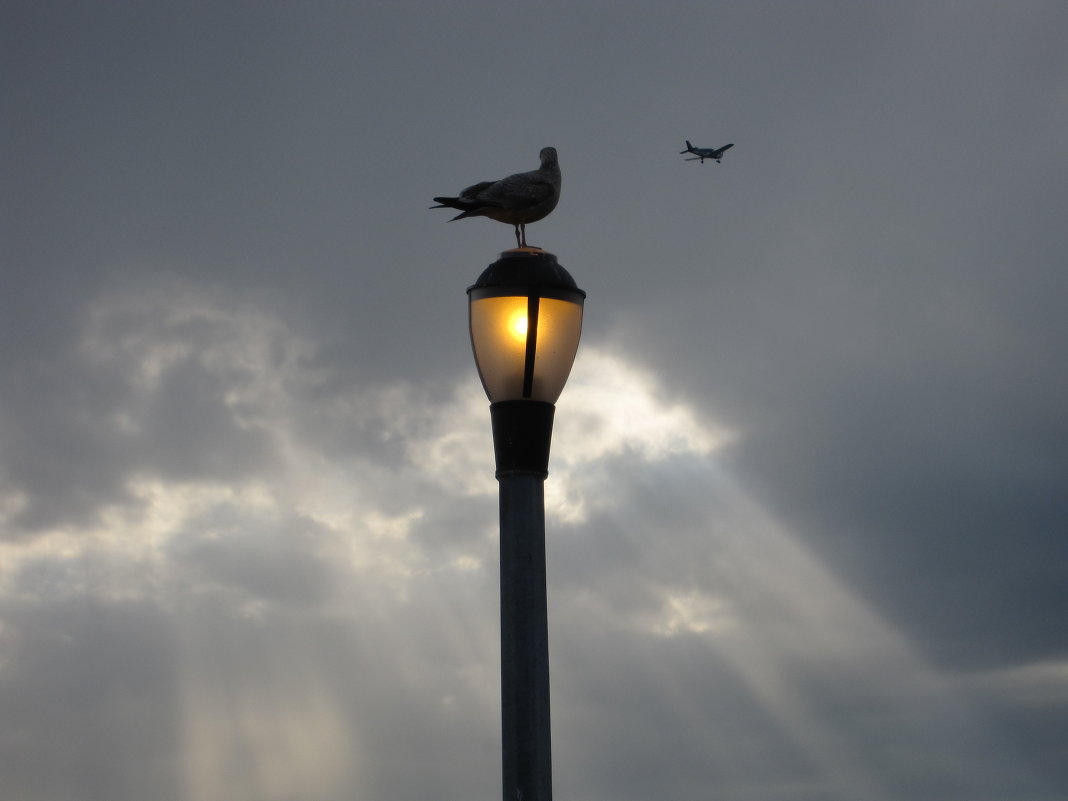 Brighton Beach, NY, NY - tbn 