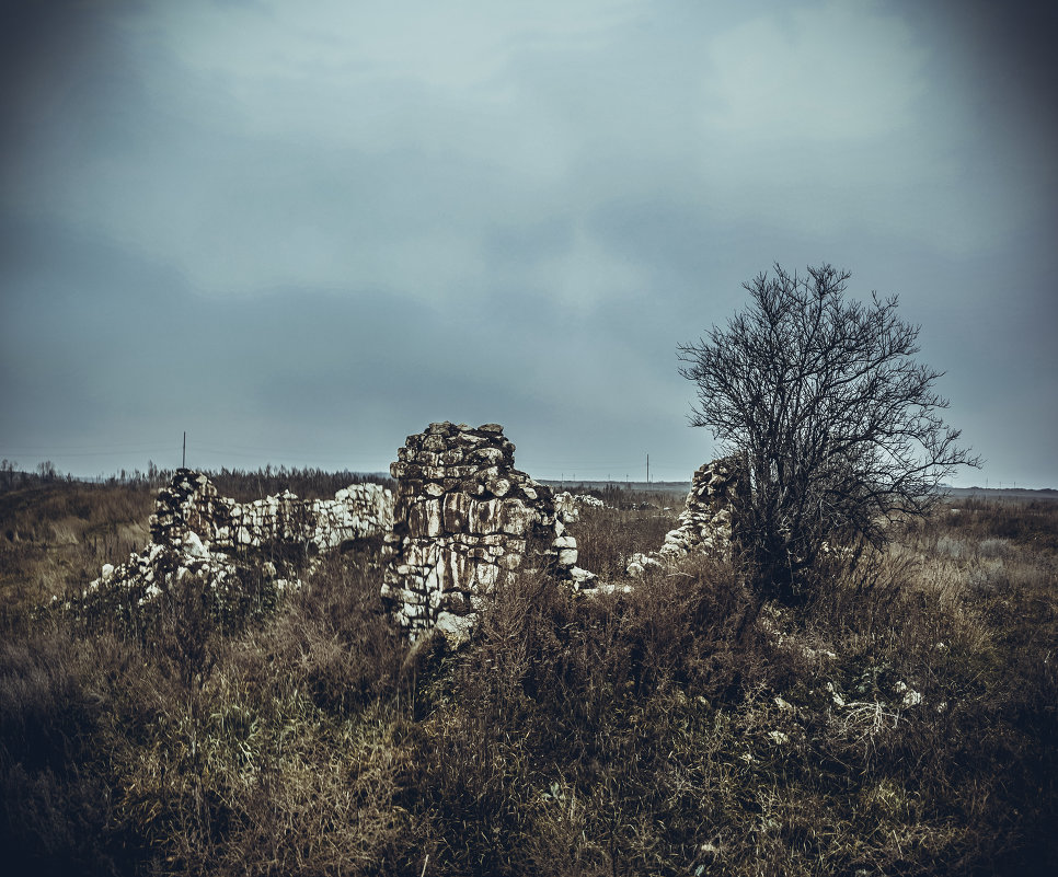 руины дома - Alina Grib