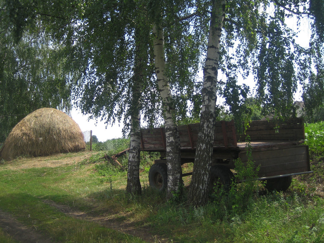 Сельский пейзаж - Алина Тазова