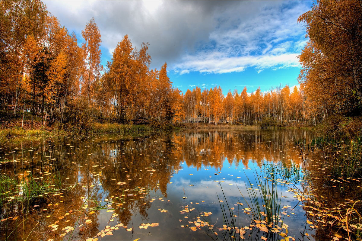 Осень - Nikita Volkov