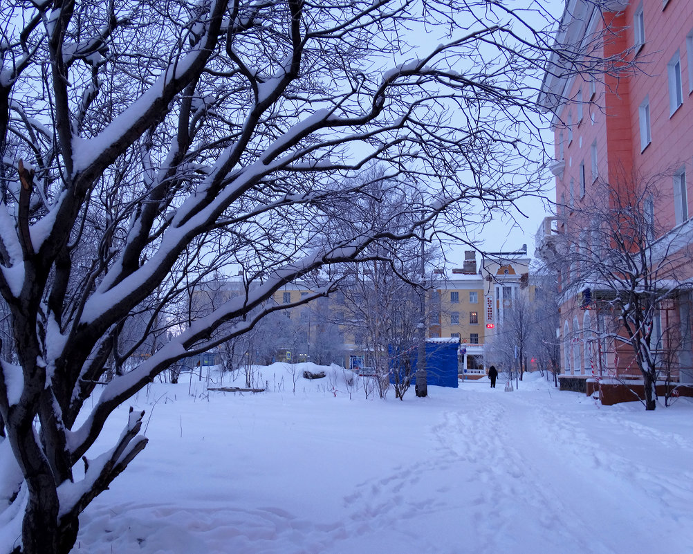 улица Кольская - Людмила Романова