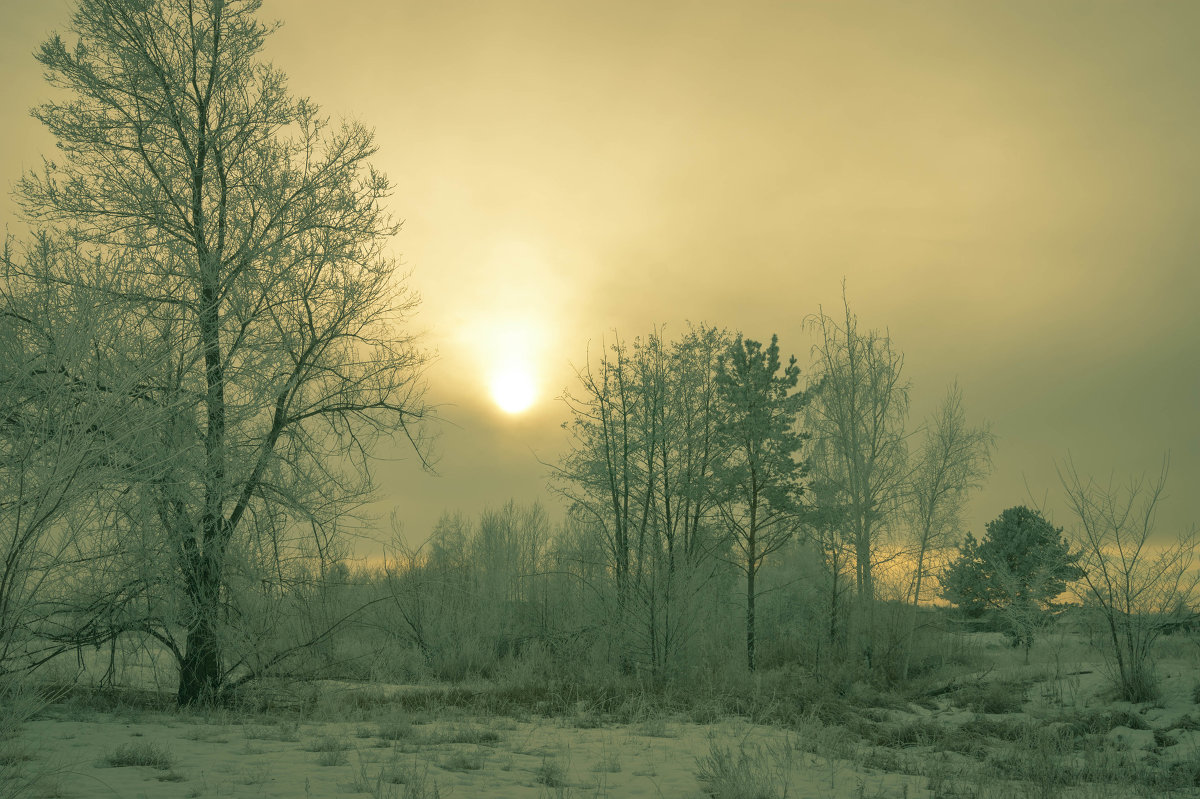 Вечер...туман... - Наталья Григорьева