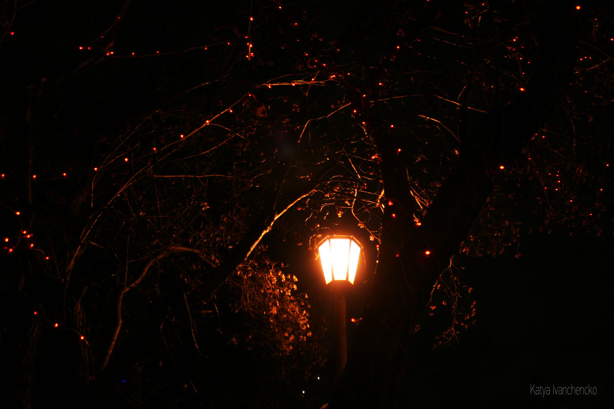 Ночь,улица,фонарь... - Екатерина Иванченко