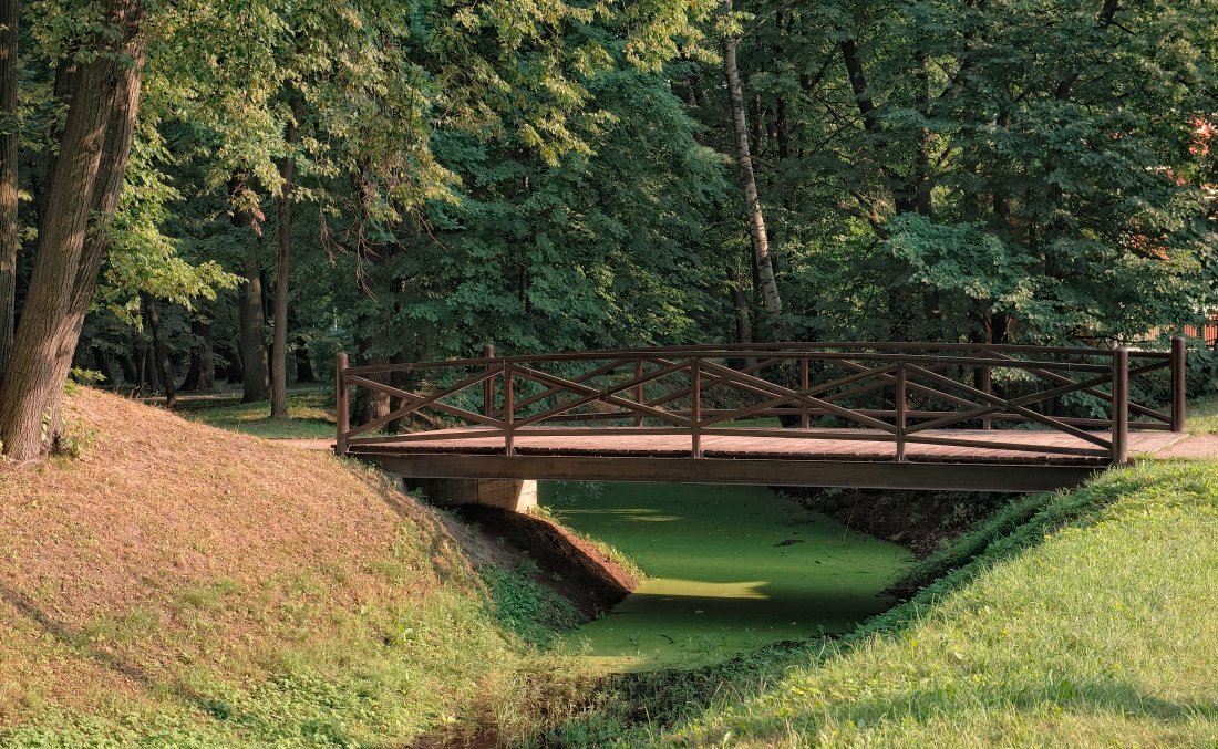 Деревянный мост в парке - Aleks 