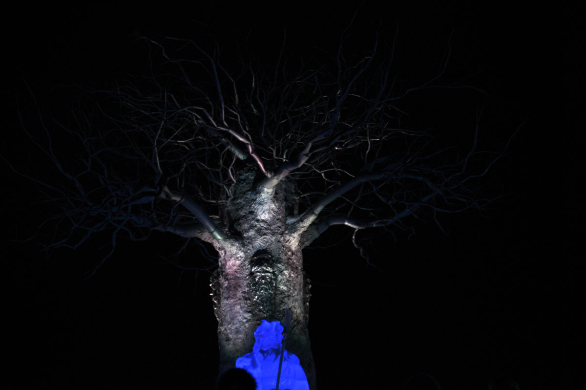 дерево во мраке - Ирина Стугина