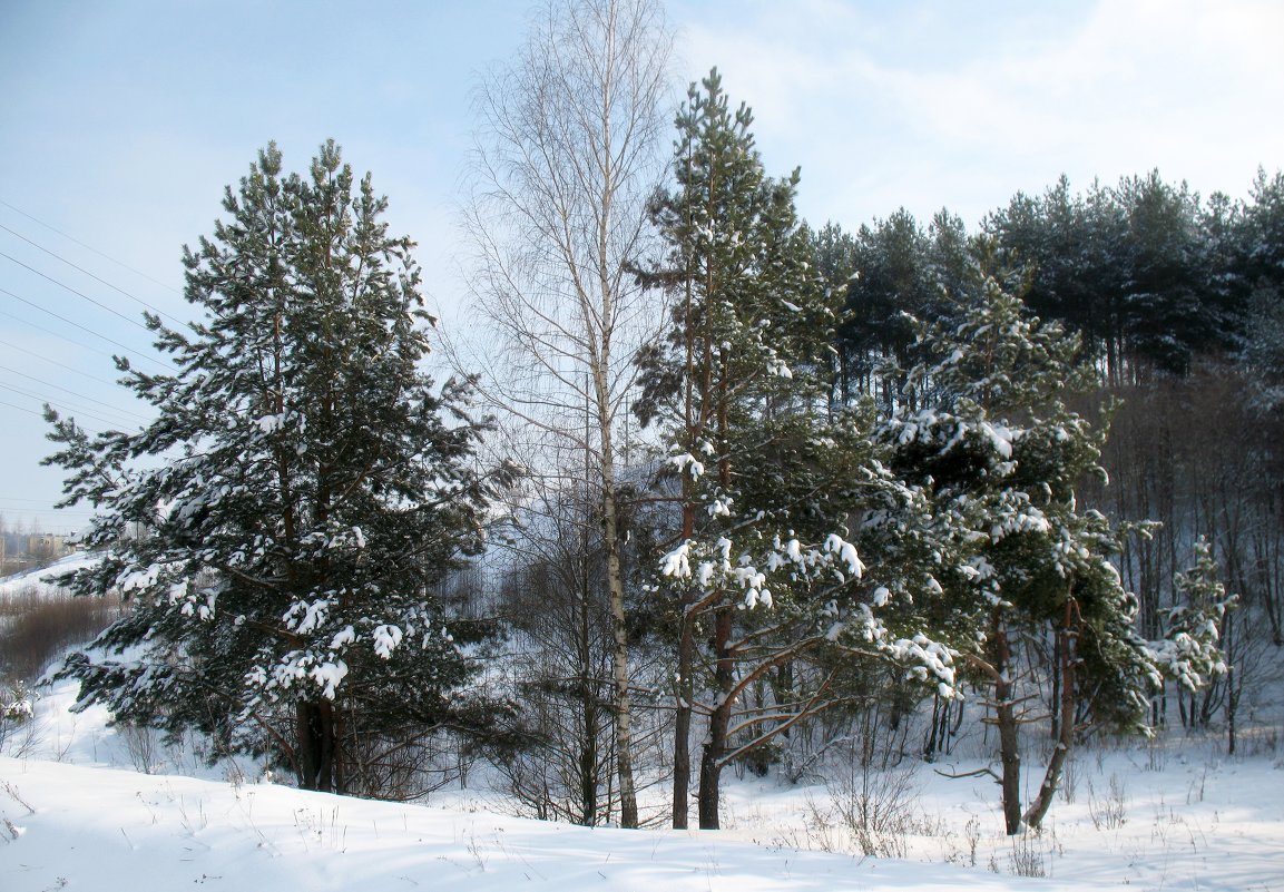 Зима 2009 - Irina 