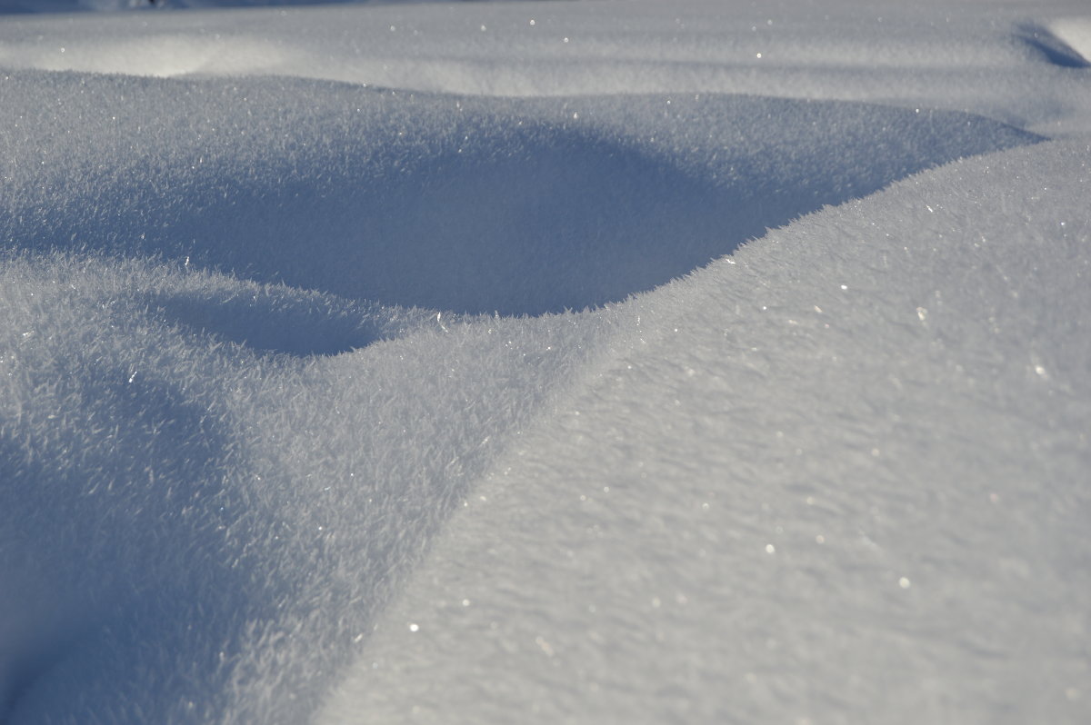 Как же прекрасен снег солнечным днем - Светлана Гриник