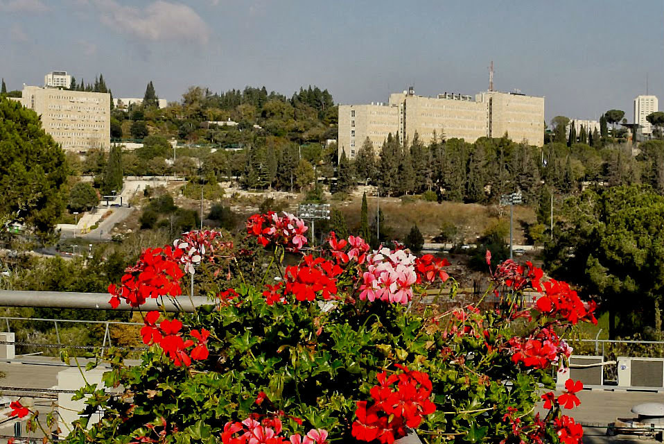 Вид на Иерусалим с площадки университета - Алла Шапошникова